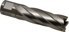 Hougen - 25/32" Diam x 2" Deep High Speed Steel Annular Cutter - Americas Industrial Supply