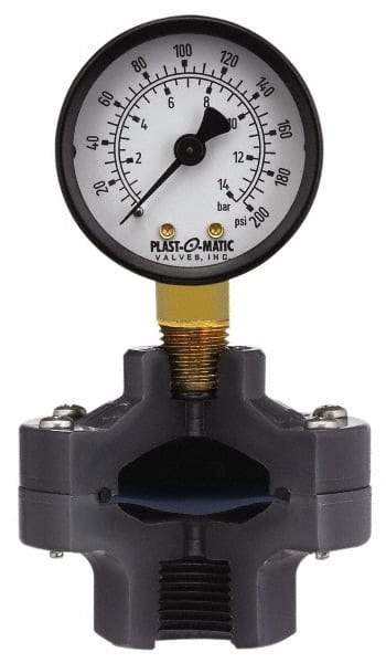 Plast-O-Matic - 30 Max psi, 2 Inch Dial Diameter, PVC Pressure Gauge Guard and Isolator - 3% Accuracy - Americas Industrial Supply