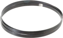 Starrett - 10 TPI, 7' 9" Long x 5/8" Wide x 0.032" Thick, Welded Band Saw Blade - Carbon Steel, Toothed Edge, Raker Tooth Set, Flexible Back, Contour Cutting - Americas Industrial Supply