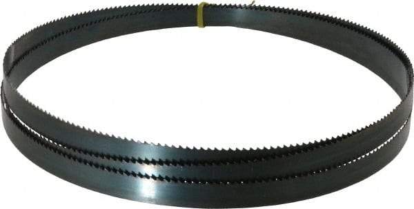 Starrett - 6 TPI, 9' Long x 3/4" Wide x 0.032" Thick, Welded Band Saw Blade - Carbon Steel, Toothed Edge, Raker Tooth Set, Flexible Back, Contour Cutting - Americas Industrial Supply