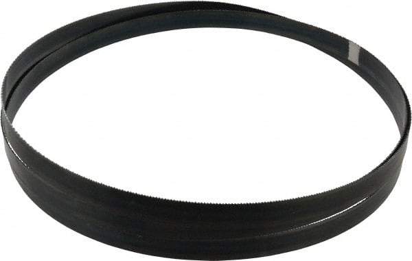 Starrett - 14 TPI, 9' 7-1/2" Long x 3/4" Wide x 0.032" Thick, Welded Band Saw Blade - Carbon Steel, Toothed Edge, Raker Tooth Set, Flexible Back, Contour Cutting - Americas Industrial Supply