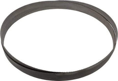 Starrett - 10 to 14 TPI, 12' Long x 1" Wide x 0.035" Thick, Welded Band Saw Blade - Bi-Metal, Toothed Edge, Raker Tooth Set, Contour Cutting - Americas Industrial Supply