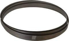 Starrett - 10 to 14 TPI, 14' 8" Long x 3/4" Wide x 0.035" Thick, Welded Band Saw Blade - Bi-Metal, Toothed Edge, Raker Tooth Set, Contour Cutting - Americas Industrial Supply