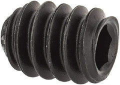 Value Collection - #10-24 UNC, 1/4" OAL, Knurled Cup Point Set Screw - Grade 8 Alloy Steel, 3/32" Key - Americas Industrial Supply