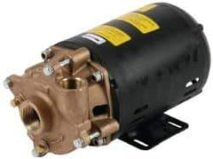 Pentair - 208-230/460 Volt, 3/4 hp, 1-1/4 Inlet, 72 GPM Bronze Utility Pump - 55 Max Head Pressure, 1 Inch Outlet - Americas Industrial Supply