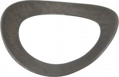 Gardner Spring - #10 Bolt, 0.203" ID, Grade 301 Stainless Steel, Curved Disc Spring - 0.322" OD, 0.053" High, 0.005" Thick - Americas Industrial Supply