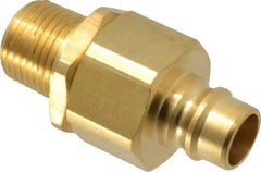 Parker - 1/2 Thread Brass Hydraulic Hose MPT Fitting - 2,000 psi - Americas Industrial Supply
