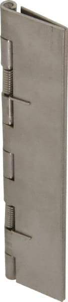 Value Collection - 5" Long x 2" Wide x 0.05" Thick, Spring Hinge - Stainless Steel - Americas Industrial Supply