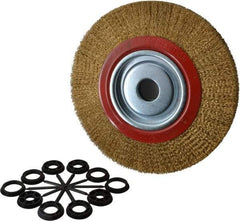 Value Collection - 10" OD, 1-1/4" Arbor Hole, Crimped Brass-Coated Steel Wheel Brush - 1" Face Width, 1-15/32" Trim Length, 0.012" Filament Diam, 3,000 RPM - Americas Industrial Supply