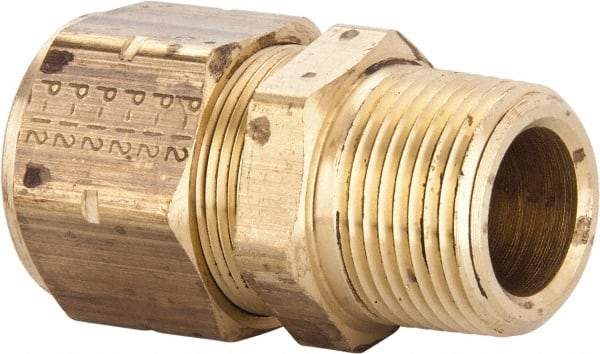 Parker - 3/4" OD, Brass Male Connector - 100 Max Working psi, 1-3/16" Hex, Comp x MNPT Ends - Americas Industrial Supply