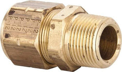 Parker - 3/4" OD, Brass Male Connector - 100 Max Working psi, 1-3/16" Hex, Comp x MNPT Ends - Americas Industrial Supply