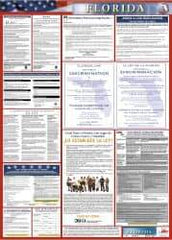 NMC - 24" Wide x 40" High Laminated Paper Labor Law Information Poster - Florida Jurisdiction, 0.03" Thick, Spanish - Americas Industrial Supply