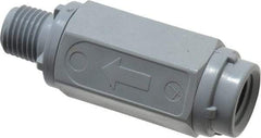 Specialty Mfr - 1/4" PVC Check Valve - Inline, MNPT x FNPT, 125 WOG - Americas Industrial Supply