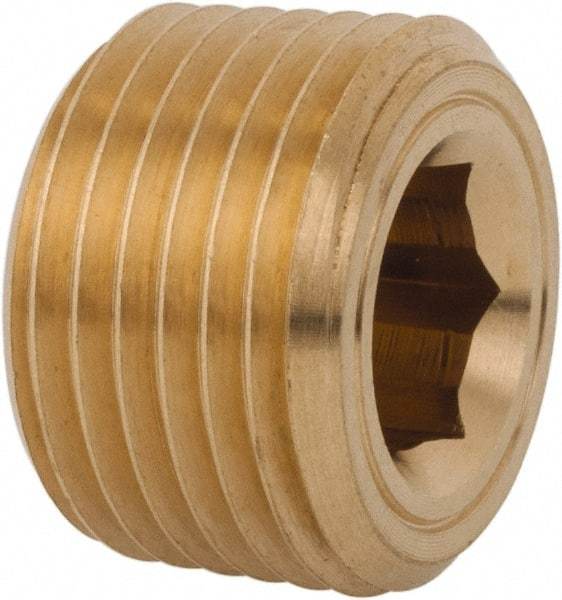 Legris - 1/2 Male Thread, Brass Industrial Pipe Hollow Hex Plug - MBSPT, 3,626 psi - Americas Industrial Supply