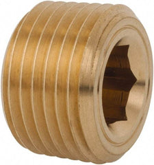 Legris - 1/2 Male Thread, Brass Industrial Pipe Hollow Hex Plug - MBSPT, 3,626 psi - Americas Industrial Supply