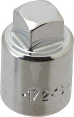 SK - 1/2" Drive, 1/2" Socket, Male Pipe Plug Socket - 4 Points, 1-3/8" OAL - Americas Industrial Supply