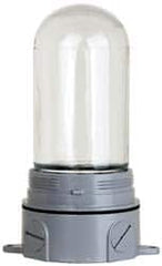 Cooper Crouse-Hinds - 120 Volt, 100 Watt, Incandescent Hazardous Location Light Fixture - Vaporproof, Corrosion & Heat Resistant, Aluminum Housing, 3-3/8" Wide x 8-1/2" High - Americas Industrial Supply