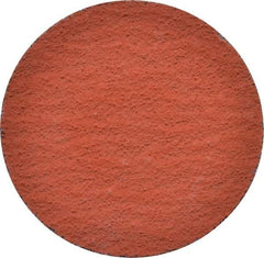 3M - 2" Disc Diam, 100 Grit, Ceramic Quick Change Disc - Type S Attaching System, Coated, Orange, Fine Grade, 25,000 RPM, 777F Series - Americas Industrial Supply