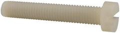 Made in USA - M10x1.50 Metric Coarse, 60mm Length Under Head Slotted Drive Machine Screw - Cheese Head, Grade 6/6 Nylon, Uncoated, Without Washer - Americas Industrial Supply