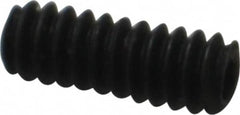 Value Collection - #6-32 UNC, 3/8" OAL, Cup Point Set Screw - Grade 8 Alloy Steel, 1/16" Key - Americas Industrial Supply