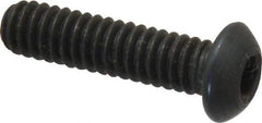 Value Collection - 1/4-20 UNC Hex Socket Drive, Button Screw - Alloy Steel, Black Oxide Finish, Fully Threaded, 1" Length Under Head - Americas Industrial Supply