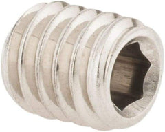 Value Collection - 5/16-18 UNC, 3/8" OAL, Cup Point Set Screw - Grade 18-8 Stainless Steel, 3/32" Key - Americas Industrial Supply