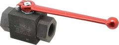 HYDAC - 1" Pipe, Carbon Steel Standard Ball Valve - 1 Piece, FNPT x FNPT Ends, Lever Handle, 6,000 WOG - Americas Industrial Supply