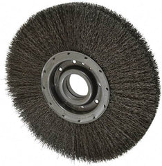 Osborn - 12" OD, 2" Arbor Hole, Crimped Steel Wheel Brush - 2" Face Width, 3-1/4" Trim Length, 0.02" Filament Diam, 3,600 RPM - Americas Industrial Supply