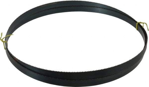 Starrett - 8 TPI, 10' 5" Long x 3/4" Wide x 0.032" Thick, Welded Band Saw Blade - Carbon Steel, Toothed Edge, Raker Tooth Set, Flexible Back, Contour Cutting - Americas Industrial Supply