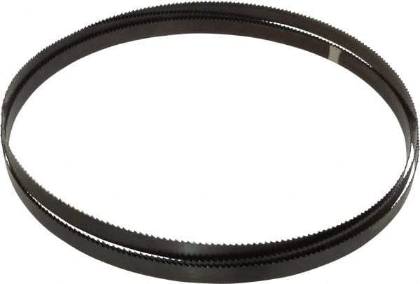 Starrett - 6 TPI, 10' 10-1/2" Long x 3/4" Wide x 0.032" Thick, Welded Band Saw Blade - Carbon Steel, Toothed Edge, Raker Tooth Set, Flexible Back, Contour Cutting - Americas Industrial Supply