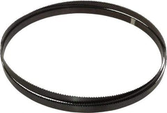 Starrett - 6 TPI, 10' 10-1/2" Long x 3/4" Wide x 0.032" Thick, Welded Band Saw Blade - Carbon Steel, Toothed Edge, Raker Tooth Set, Flexible Back, Contour Cutting - Americas Industrial Supply