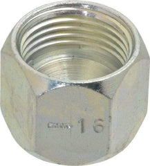 Eaton - 5/8" Tube OD, 37° Steel Flared Tube Cap - Flare Ends - Americas Industrial Supply