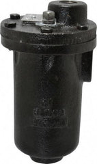 Hoffman Speciality - 3/4" NPT Inlet, 1/2" NPT Outlet, 250 Max psi, Cast Iron Water Vent - 350 Max Hydrostatic psi, 300°F Max - Americas Industrial Supply