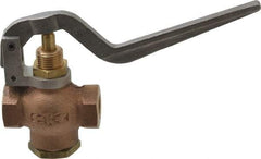 Kingston - 1/4" Pipe, 400 Max psi, Buna N Disc, Self Closing Control Valve - Squeeze Lever, FNPT x FNPT End Connections - Americas Industrial Supply