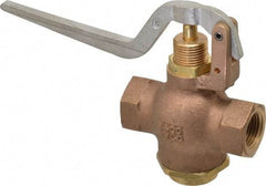 Kingston - 1/2" Pipe, 400 Max psi, Buna N Disc, Self Closing Control Valve - Squeeze Lever, FNPT x FNPT End Connections - Americas Industrial Supply