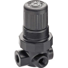 Compressed Air Regulator: 1/4″ NPT, 300 Max psi 3″ OAH