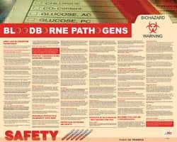 NMC - 30" Wide x 24" High Laminated Paper Bloodborne Pathogens Information Poster - English - Americas Industrial Supply