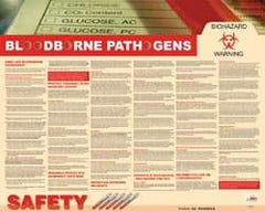 NMC - 30" Wide x 24" High Laminated Paper Bloodborne Pathogens Information Poster - English - Americas Industrial Supply