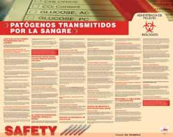 NMC - 30" Wide x 24" High Laminated Paper Bloodborne Pathogens Information Poster - Spanish - Americas Industrial Supply