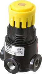 Parker - 1/8 NPT Port, 13 CFM, Zinc Miniature Regulator - 2 to 125 psi Range, 300 Max psi Supply Pressure, 1/8" Gauge Port Thread, 1.65" Wide x 2.88" High - Americas Industrial Supply
