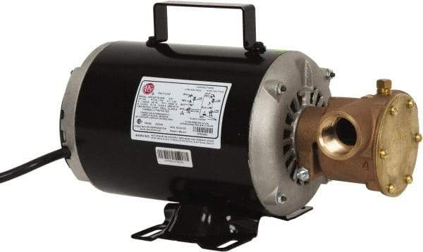 Jabsco - 1 Inch Inlet, 3/4 Hp, 23 Max GPM, Flexible Impeller Pump - 115/230 Volts, Nitrile Impeller - Americas Industrial Supply