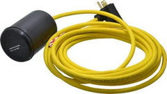 Berkeley - 115 AC Volt, High Temp, Float Switch - 15 Ft. Cord Length, Polypropylene - Americas Industrial Supply