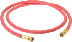 Coilhose Pneumatics - Paint Sprayer Hose with Fittings - Fixture, Compatible with Paint Sprayers - Americas Industrial Supply