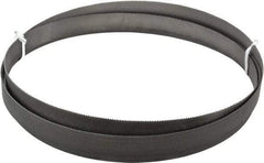 Lenox - 10 to 14 TPI, 9' 7-1/2" Long x 1" Wide x 0.035" Thick, Welded Band Saw Blade - Bi-Metal, Toothed Edge, Modified Raker Tooth Set, Flexible Back, Contour Cutting - Americas Industrial Supply