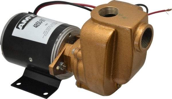 American Machine & Tool - 12 Volt, 1/8 hp, 3/4 Inlet, Bronze Utility Pump - 14 Max Head Pressure, 3/4 Inch Outlet - Americas Industrial Supply