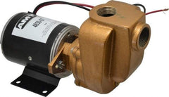 American Machine & Tool - 12 Volt, 1/8 hp, 3/4 Inlet, Bronze Utility Pump - 14 Max Head Pressure, 3/4 Inch Outlet - Americas Industrial Supply