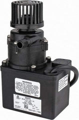 Little Giant Pumps - 1/35 HP, 12.8 Shut Off Feet, Magnetic Drive Pump - 1 Phase, 60 Hz - Americas Industrial Supply