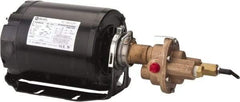 Pentair - 1/2 hp, 3/8 Port, -40 to 210°F Fluid Temp, Carbonator Gear Pump - Bronze, 3/8 Inlet Size, 4.25 GPM, NPT - Americas Industrial Supply