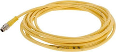 Brad Harrison - 4 Amp, M8 Male Straight to Pigtail Cordset Sensor and Receptacle - 60 VAC, 75 VDC, 4m Cable Length, IP68 Ingress Rating - Americas Industrial Supply