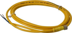 Brad Harrison - 4 Amp, M8 Female Straight to Pigtail Cordset Sensor and Receptacle - 60 VAC, 75 VDC, 2m Cable Length, IP68 Ingress Rating - Americas Industrial Supply